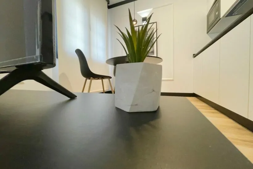 Planta decorativa de Loren Estudio